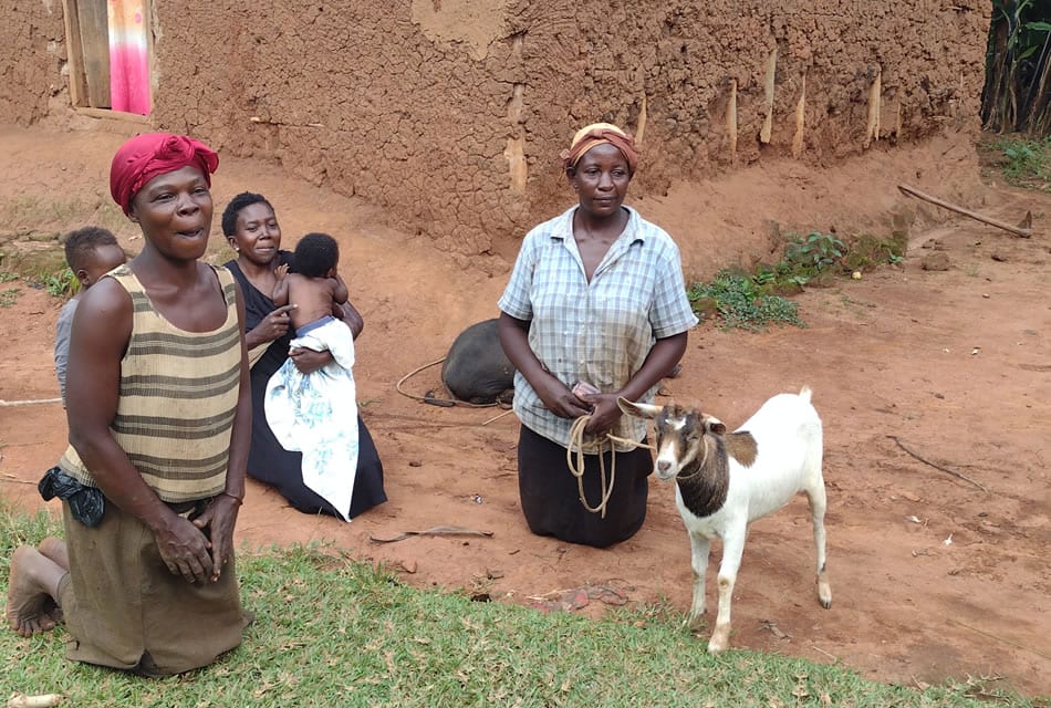 Support a Family With a Cerebral Palsy Child