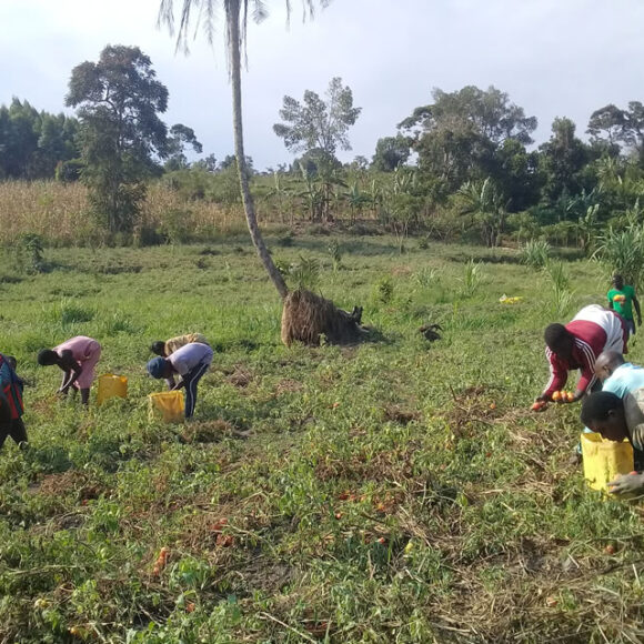 Agriculture